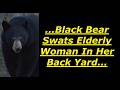 Scary Bear Attacks: The May 29th, 2026 Bear Attack On Jeanette Ricucci