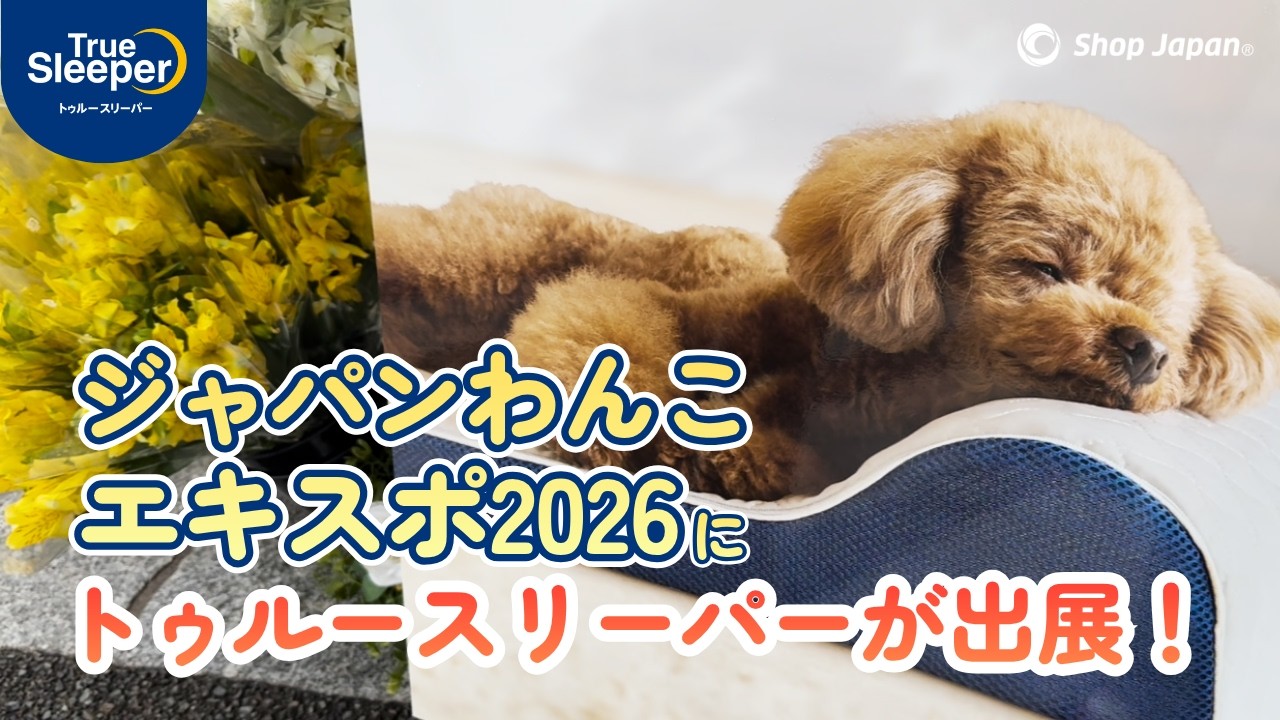 【駒沢公園】ジャパンわんこエキスポ2026レポ！トゥルースリーパー ペットベッドで愛犬がとろける？｜ショップジャパン【公式】