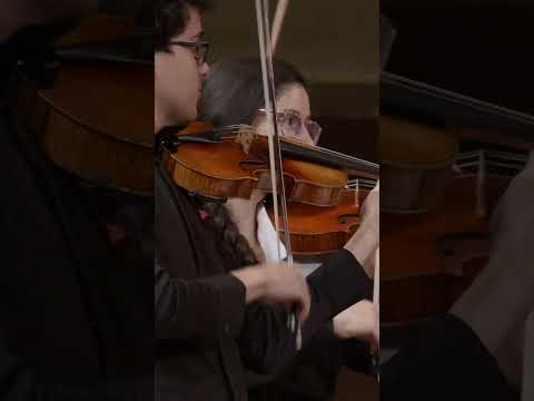 Enjoy this beautiful performance by Anne-Sophie Mutter! #shorts #deutschegrammophon #stage #violin