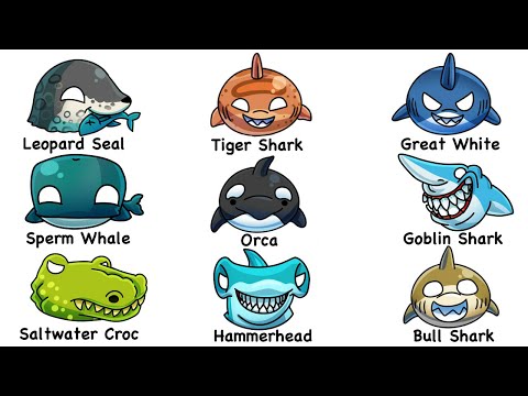 Every Sea PREDATOR Explored in 11 Minutes