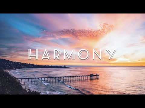 Vintage Culture, Shapeless & Padox feat. FM LAETI - Show Me the Way