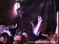 AFI  File 13 Live