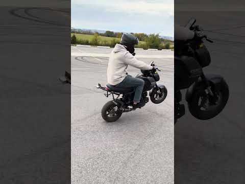 Honda Grom wheelie
