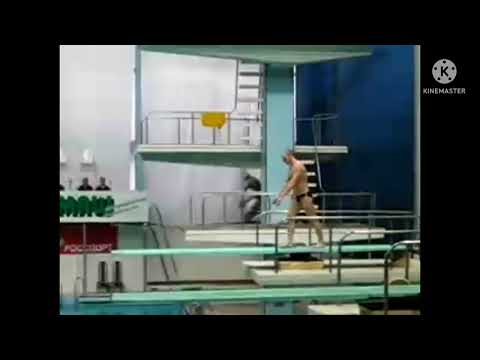 2006 Russian Grand Prix Electrostal Dmitry Sautin Men's 3m 305b 5353b 405b 205b Entire List