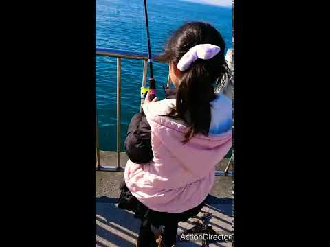 動画 アジ釣りアジ転落 釣りガールへの道8 アジ落ちたっっ 魚釣り動画まとめ 動画 アジ釣りアジ転落 釣りガールへの道8 アジ落ちたっっ 魚釣り動画まとめ