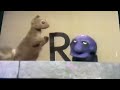 Sesame Street Monster And Squirrel Letter R Tag