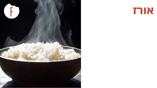 מתכון לאורז - פודי