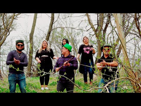 Dami ,Viktor Family, Beng Bach - Šalená ja bula