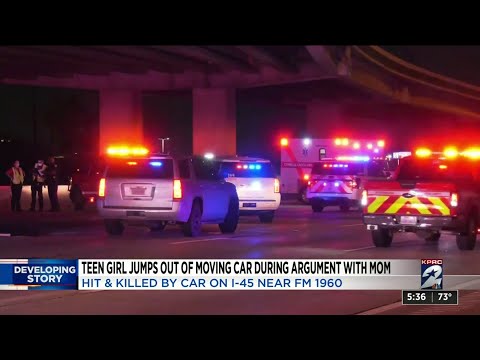 Teen killed after jumping out of moving car during argument with mom on I-45, HCSO says