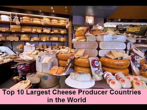 download lagu mp3 mp4 Most Cheese Producing Country, download lagu Most Cheese Producing Country gratis, unduh video klip Most Cheese Producing Country