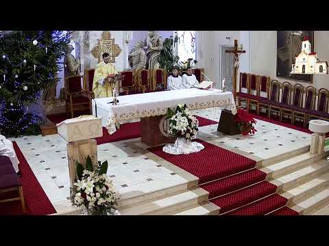 Biserica „Înălțarea Domnului”, Sagna