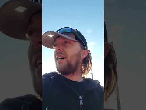 Best corvette detailing spray