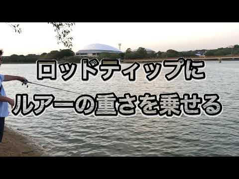 バス釣りでのピッチングのやり方解説！ 画像と動画あり | 釣りろん