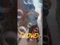Ek Choti Si Love Story Couple Romance Village Couple Romance Romantic Scene Couple Love Lover