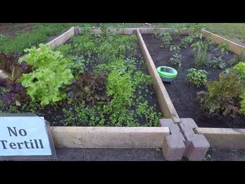 Vidéo YouTube - W_JzzXpSmss