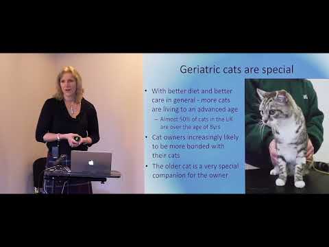 Caring for Elderly Cats: Getting the Most Out of Your Senior and Geriatric Feline Medicine