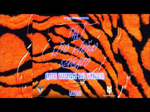 Que vivan los Tigers  (official video ) lito kirino