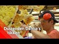 Corsostress in Zundert – Brabants Buske