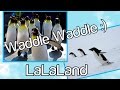 Penguin Animal Series For Kids