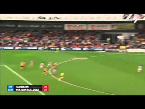 Round 17 AFL - Hawthorn v Western Bulldogs Highlights