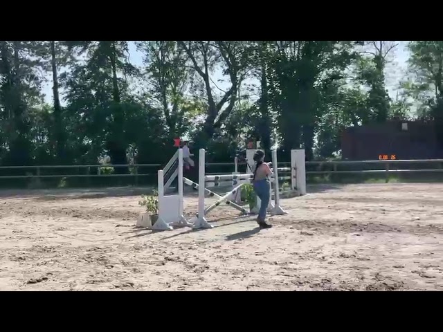 Joy T.V. – Jument KWPN 11 ans 1m66 CSO 105/110