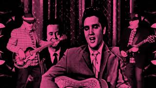 Hound dog (Elvis and Ritch)