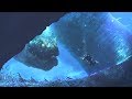 Exploring The SCP Foundation SCP 3000 Anantashesha