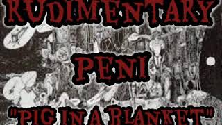 Rudimentary Peni - Pig In A Blanket ( Lyrics Video ) - Death Church