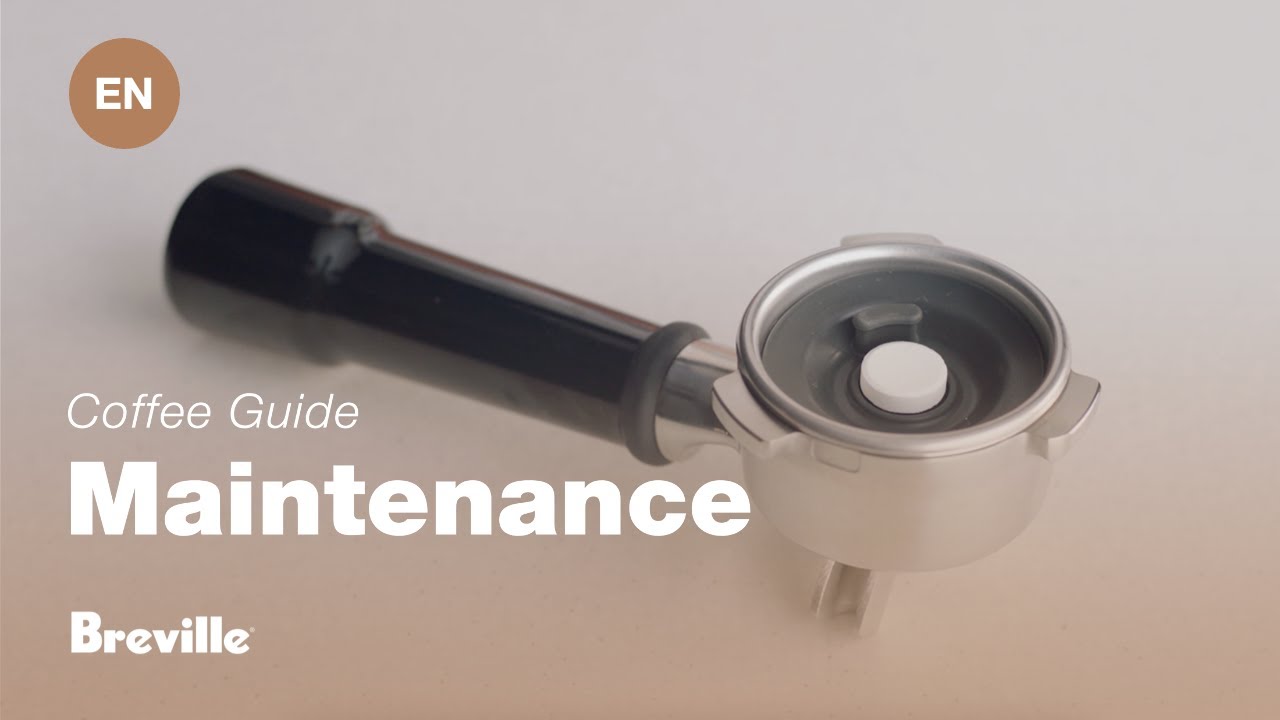 How to perform a cleaning cycle