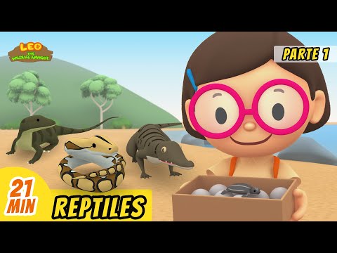 Reptiles Episodio Compilación [Parte 1/2] (Español) - Leo, El Explorador | Animación - Familia