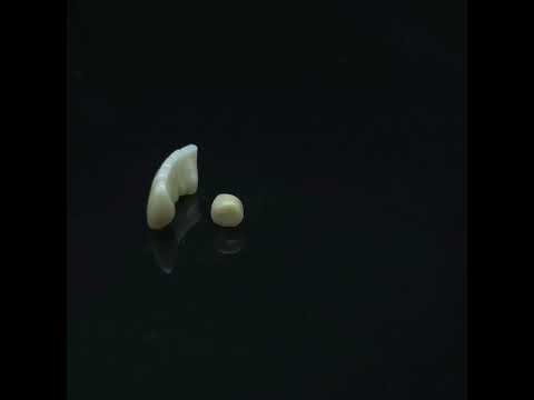 YouTube 썸네일