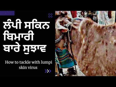 Methylcobalamin 1500 mcg pyridoxine hcl 100 mg nicotinamide ...