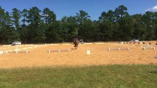 Riley Intro A War Horse