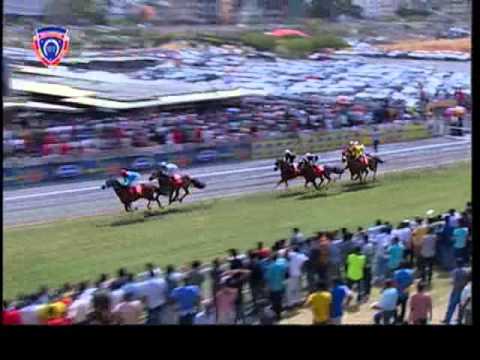 Shoddy Nick -R4 The Procontact Trophy (2050m)