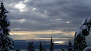 Wondering where the Lions are