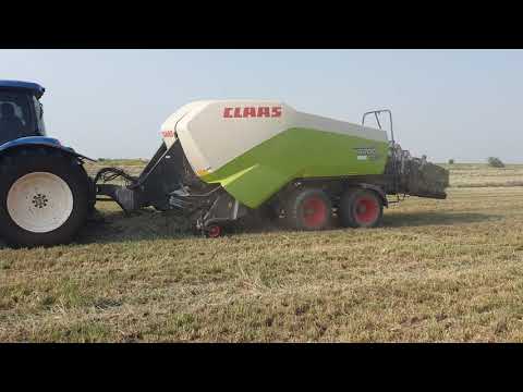 Pakistani Rhodes Grass , baling here at chani goth farm 🌱🌱