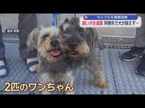 YouTube Video 2匹の飼い犬を河川敷に捨てたか…30代カップル書類送検　捨てた理由は「同棲」…転居先アパートは「ペットNG」