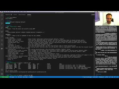 Capturing executed files using Tracee