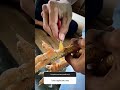 Cara Merapihkan Jalu Ayam