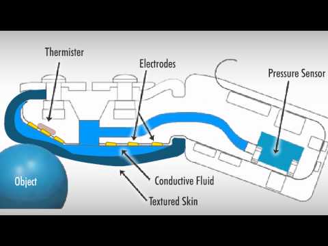 Overview of BioTac Sensory Technology