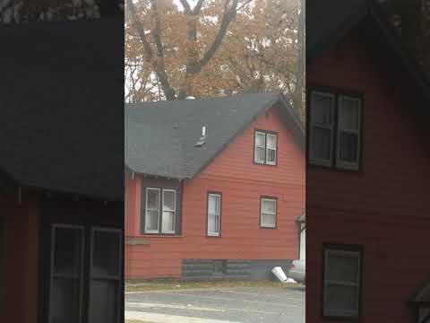 Nature can sometimes be cruel