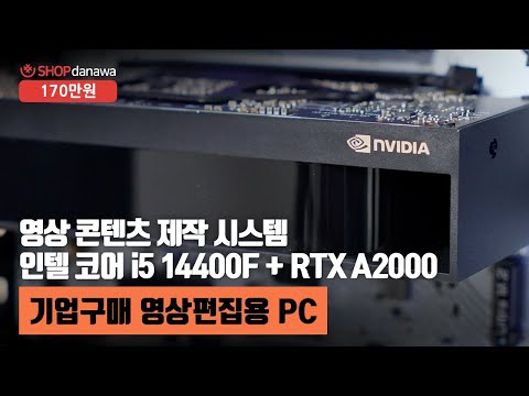 NVIDIA RTX A2000 D6 6GB