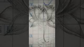 Download lagu drawing in a notebook Lotus  with HB pensil #shorts #art #lotus #short #viral #trending #trend # mp3