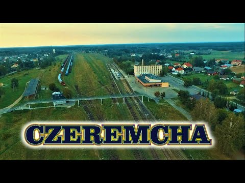 Czeremcha