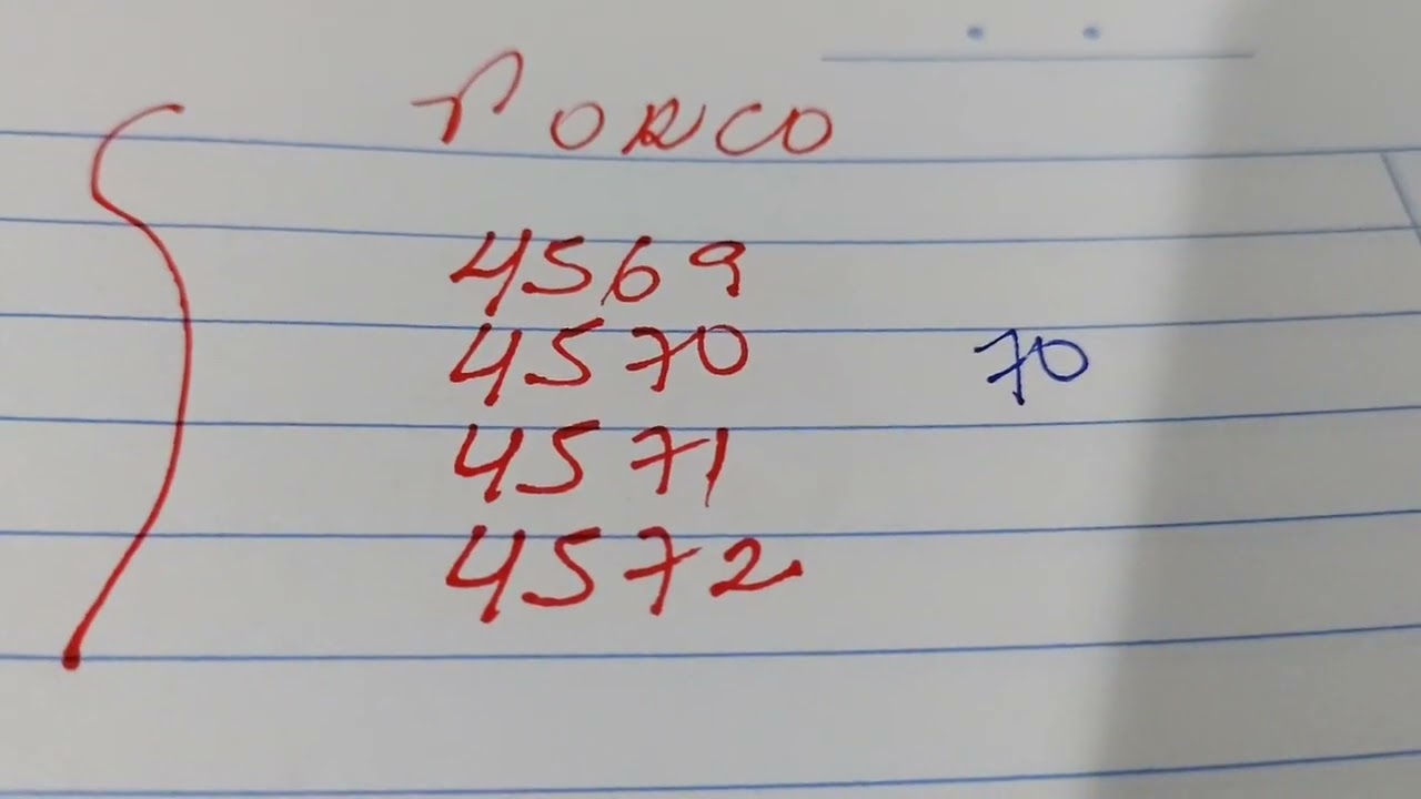 Palpites da Sônia Santos p/17/09/24. Terça Feira