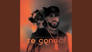Te conocí