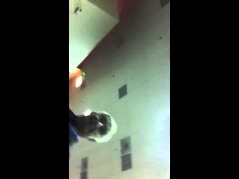Thumbnail for Stevens creek Subaru admits to stealing peoples money by Subaru
