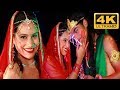 4K VIDEO राधा कृष्ण होली रंगदना रंग में चुन�