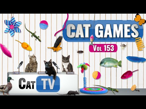 CAT Games | Ultimate Cat TV Compilation Vol 153 | 8 HOURS  🐝🐞🦋🦎🦜🐜🐭🧵