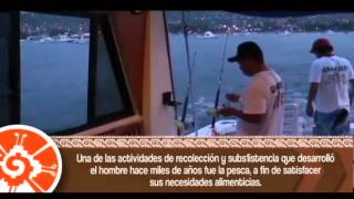 Así es mi tierra "La Pesca en Zihuatanejo"